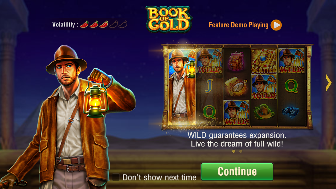 JILI Book of Gold Screenshot