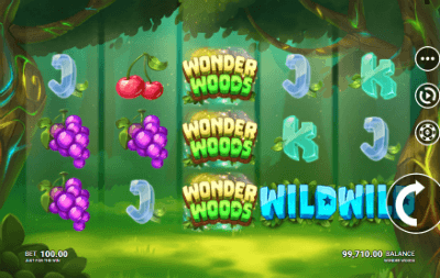 Wonder Woods Screenshot