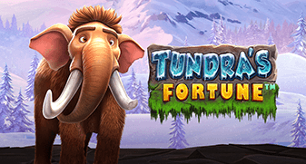 Tundra’s Fortune Screenshot