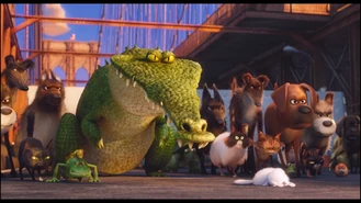 Life Of Pets Screenshot