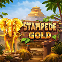 BetSoft Stampede Gold Game at JACKPOT DELUXE