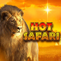 Hot Safari