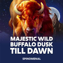 SP Majestic Wild Buffalo Dusk Till Dawn